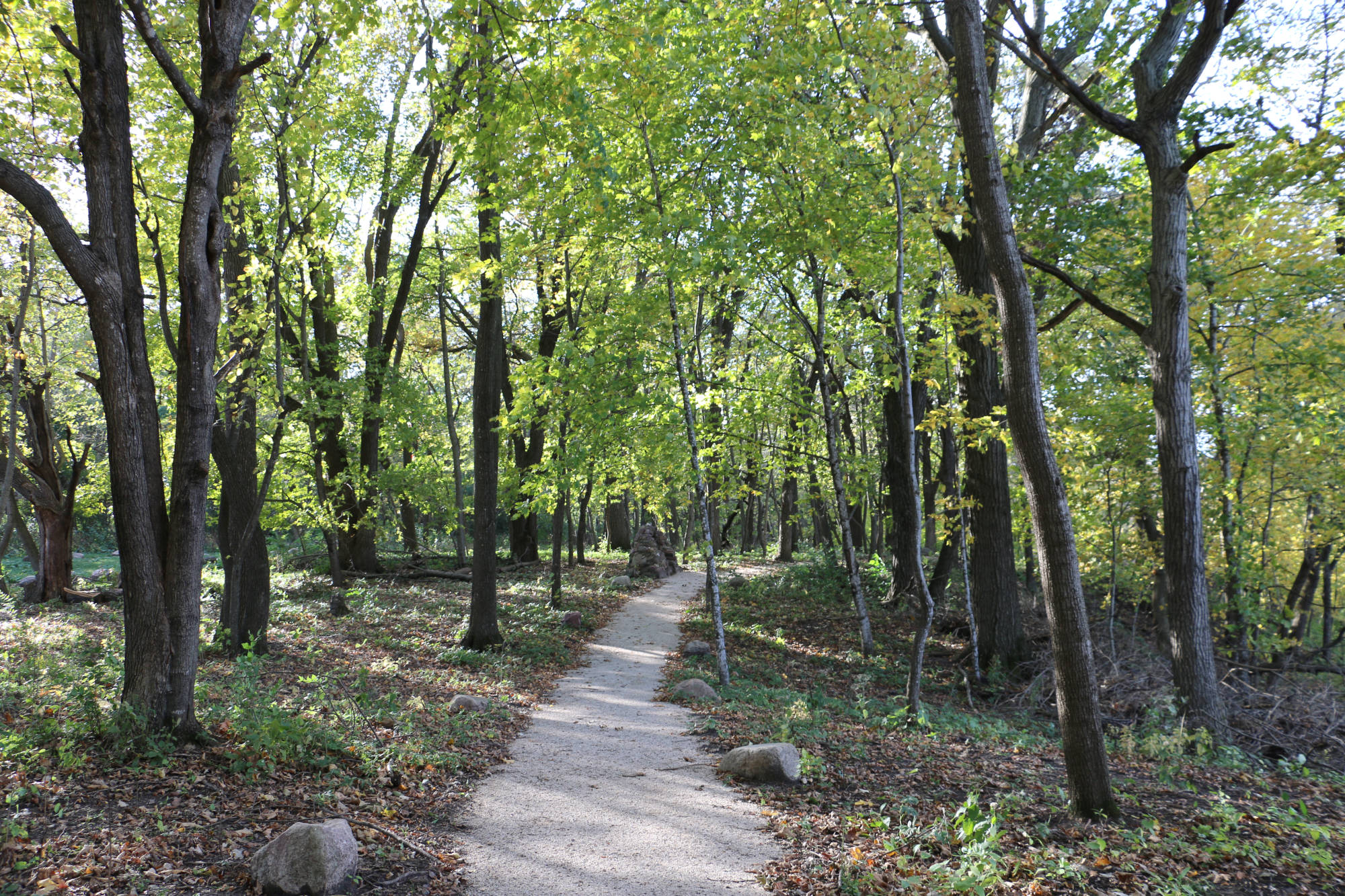 Morphew Photography Path